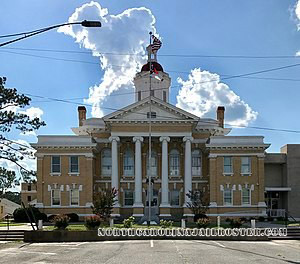 Duplin County Court